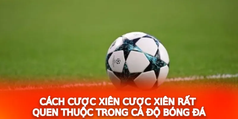 Người chơi nên lựa chọn cược vào các trận có tỷ lệ thắng cao